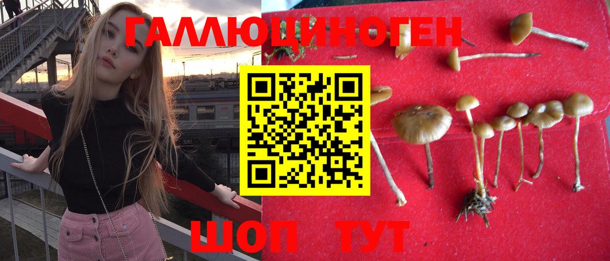 Галлюциногенные грибы ЛСД  Вход с VPN  Владикавказ  цена наркотик  Галлюциногенные грибы Cubensis 